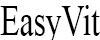 EasyVit