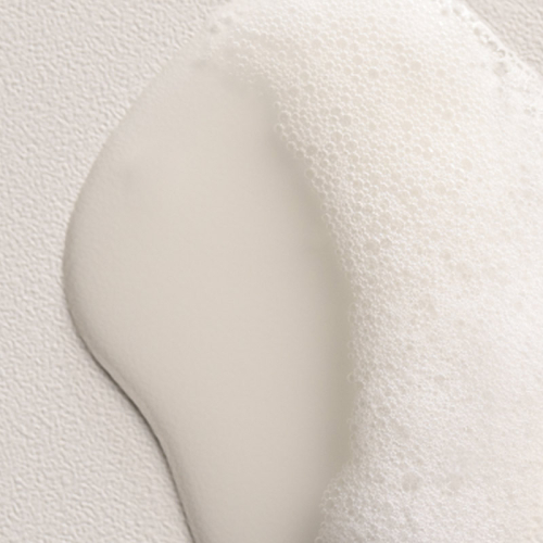 Davines Natural Replumping Shampoo 250ml - 4