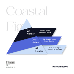 Intensia Cosmetics Halicarnassus Coastal Fig Cologne 50 ml - 5