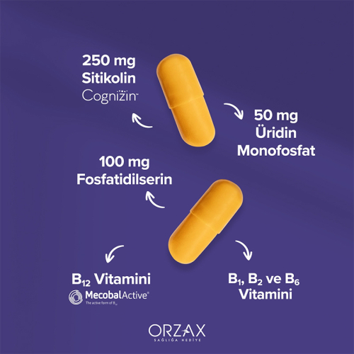 Orzax Ocean Cogniven Takviye Edici Gıda 30+6 Kapsül - 3