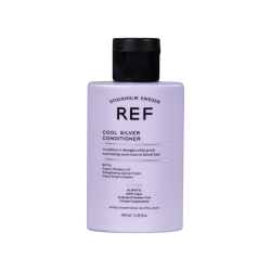 Ref Cool Silver Conditioner 100 ml - 1