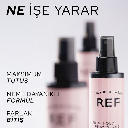 Ref Firm Hold Spray No545 175 ml - 3
