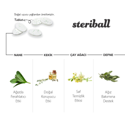 Steriball Pilli veya Şarjlı Diş Fırçaları İçin Hijyenik Diş Fırçası Kabı - Şeffaf ve Mavi - 7