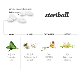 Steriball Pilli veya Şarjlı Diş Fırçaları İçin Hijyenik Diş Fırçası Kabı - Turkuaz - 3