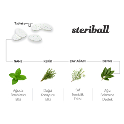 Steriball Pilli veya Şarjlı Diş Fırçaları İçin Hijyenik Diş Fırçası Kabı - Yeşil ve Mavi - 3